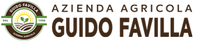 Guido Favilla Logo